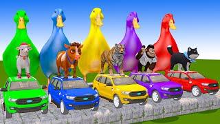 5 Giant Duck Cartoon,Cow,Tiger,Elephant,Sheep,Monkey Paint Wild Animals Crossing Fountain Animation