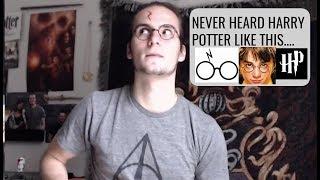 You've Never Heard Harry Potter Like This Before...(Harry Potter Rock Cover)