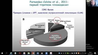 Ольга Владимировна Войцеховская (БИН РАН) "Плазмодесмы как регуляторы баланса..."