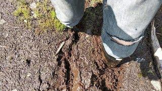 Rubber boots in the dense peat bog (in mud) (Part 2)