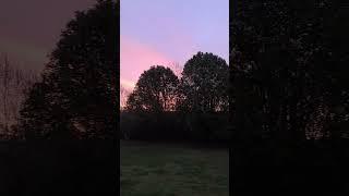Good morning! #sunrise #ncmemorymakers