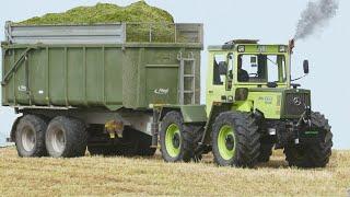 MB Trac 1000  40 Jahre volle Leistung  Grasernte 2023 mit Claas Jaguar 940!