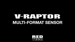 RED TECH | V-RAPTOR | MULTI-FORMAT SENSOR