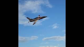 Watch these Crazy Low and Fast Passes by the L-39 Albatros in San Pedro Sula, Honduras #aviation