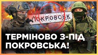 ЗАРАЗ! ОСЬ що ВІДБУВАЄТЬСЯ біля Покровська В ЦІ ХВИЛИНИ! НОВА тактика ШТУРМІВ РФ / ЛИТВИН