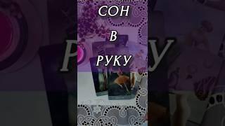 СОН В РУКУ...