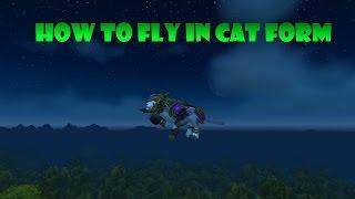 How to fly in Cat Form 6.2