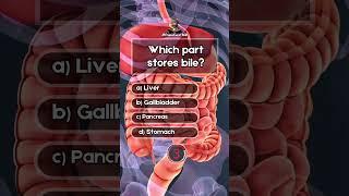 "Test Your Knowledge!  | 60 Seconds Anatomy Quiz Game Challenge"