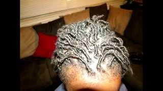Starter locs