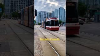 Toronto Canada  # Tauba Tauba song viral YouTube shots️