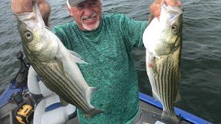 Different Methods of Striper Fishing over Several Days