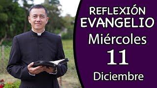 Evangelio de Hoy Miércoles 11 de Diciembre de 2024  Lectura y Reflexión