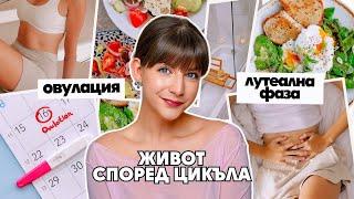 Живот Според Цикъла | Хранене, Спорт и Работа