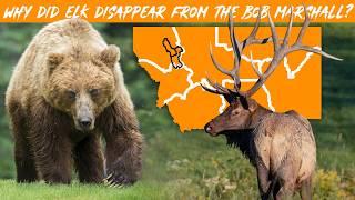 Elk at HISTORIC LOWS, but WHY? Bob Marshall Wilderness of Montana