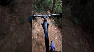 Project X Lamma Trails Hong Kong 06Nov24