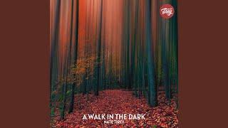 a walk in the dark