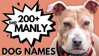 200+ Masculine Names for Your Boy Dog | Male Dog Names (Tough, Fierce, Strong Names)