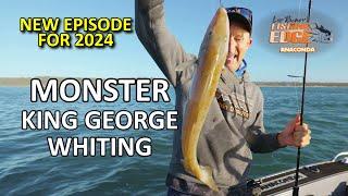 Fishing Edge - How To Catch Monster King George Whiting