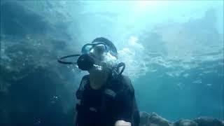 Diving Prices Antalya Belek Side Kemer Alanya Manavgat Turkey Tours lll Tourist Attractions Video