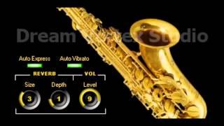 DVS Saxophone VST