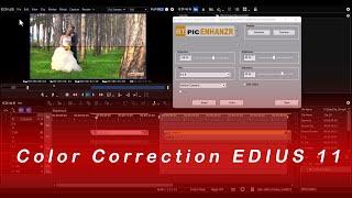 2 - Color Correction | EDIUS 11 Pro | Tech Nestology