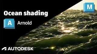 Arnold Tutorial - Rendering an Ocean with Displacement (GPU)