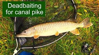 Pike fishing canals