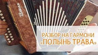 Разбор песни на гармони "Полынь трава" - Иван Разумов