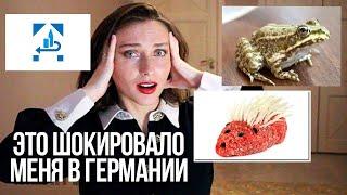 Культурный ШОК в Германии || 7 вещей, которые меня поразили