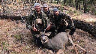 October Mule Deer Madness!