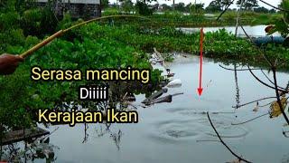 Percaya gak Percaya harus Percaya!! Mancing cuma dari pinggir jalan