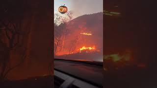 Devastation in #losangeles #wildfire #crisis #2025