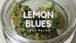 Lemon Blues Weed Strain Review - ISMOKE