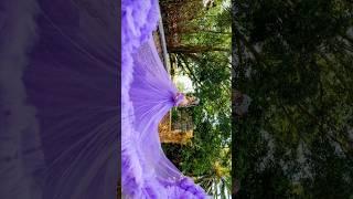 Amé este vestido  #miamiquinces #quinceañeradress #photoshoot #misquince #quinceañeradresses