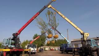 GreenLife в питомнике Немцево