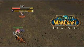 Rank 14 PRIEST vs Rank 14 WARLOCK | WoW Classic PvP