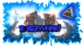 ARK: Survival Evolved! Я везунчик!