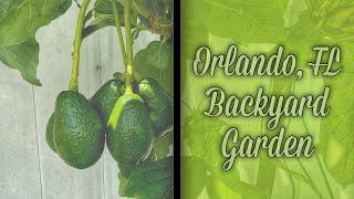 Florida Gardening within an HOA? NO Problem!