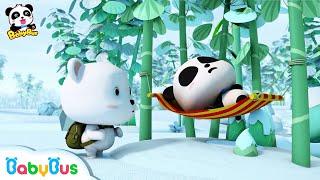 Clever Panda Baby | Who is the real Panda Kiki? | Indonesian Language | BabyBus