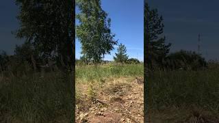 Любимая деревня, готовимся к строительству дома #деревенскаяжизнь
