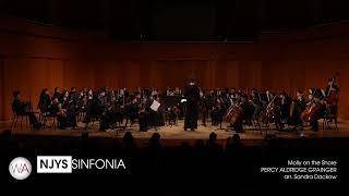 New Jersey Youth Symphony • Sinfonia / December 7, 2024