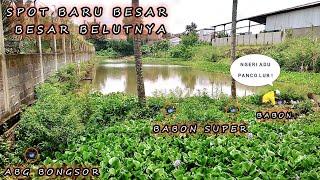 MANCING BELUTDISPOT BARU BESAR² BELUTNYA