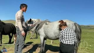 Бай - Өлке жайлауы Сақсай Даян өлкесі