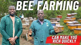 BeeKeeping Can Make You Rich In Six Months; Here are Tips On How To Start