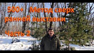 500+ Про сверхраннюю выставку и ответы на комментарии. Часть 2