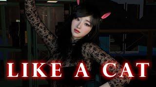 [MMD VAM] AOA - Like a Cat / 4k