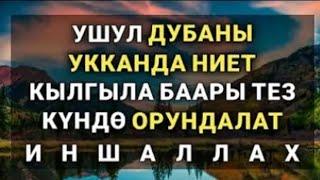 БАЙЛЫК, БЕРЕКЕ, ЫРЫСКЫ, ООМАТ, ТЫНЧТЫК ЖАНА ЫЙМАН, ДЕН-СООЛУК. АЛЫП КЕЛЕТ ИН ШАА АЛЛАХ!!!!