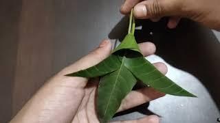 Mango Leaf Toran | Decoration for Savan Month Monday |