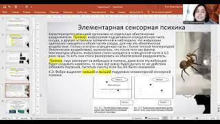 Психика. Эволюционное развитие психики. Проблема объективного критерия психики.