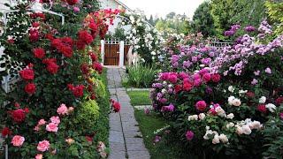 Идеи благоустройства дачи и сада / Ideas for a beautiful design of a summer house and a garden